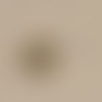 Taeniasis. egg of Taenia spp. (T. solium and saginata - eggs are not distinguishable). an egg cap...
