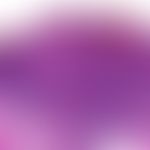 Talgdrüsenepitheliom (Sebazeom): unterschiedlich große, gut abgegrenzte basaloide Zellverbände mi...