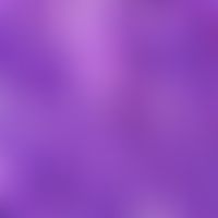 Talgdrüsenepitheliom (Nahaufnahme): neben basaloiden Zellen mit reichlich Mitosen, finden sich so...