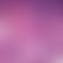Trichoadenom. Gut abgegrenzter, dermal gelegener Tumor aus Aggregaten epithelialer Zellen mit zys...