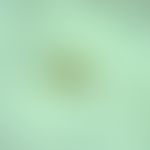 Trichuriasis. egg of Trichuris trichiura. typical are the bipolar, lemon-shaped eggs, which are b...