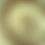 trichuriasis. adult trichuris trichiura. the hind end is thickened, the long front end thread-lik...