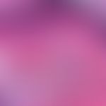 Vaskulitis, leukozytoklastische (non-IgA-assoziierte). Detailaufnahme: (Noch)intaktes Epithel mit...