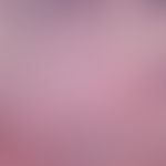 Xanthelasma:&nbsp;ballenförmige Durchsetzung der mittleren Dermis, durch Konvolute heller Zellen ...