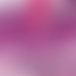 Porokeratosis superficialis disseminata actinica. orthohyperkeratosis with focal (plumelike) para...