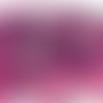 Pseudorecidive, epithelial. pseudoepitheliomasous proliferation of the surface and deep epitheliu...