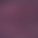 Purpura fulminans - reflected-light microscopy: advanced thrombosis and stagnation hypoxia The en...