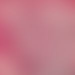 Rosazea, lupoide. Dichtes, buntes, perifollikuläres Infiltrat aus Lymphozyten, neutrophilen Granu...