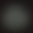 Candida albicans. culture topside: cultivation on selective, modified (cycloheximide, chloramphen...