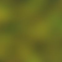 Candida albicans. Pseudomyzelien bei septischer Candidose mit Befall der Niere; Fungiqual A Fluor...