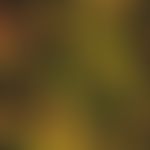 Detail enlargement: Candidaalbicans in the mycelial phase (parasitic growth) of Candida sepsis in...