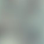 Geotrichum candidum. Übersicht: Septierte Hyphen und Arthrosporen; Stuhl; GMS-Färbung (PD Dr. Y. ...