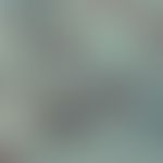 Geotrichum candidum. Detailvergrößerung: Septierte Hyphen und Arthrosporen; Stuhl; GMS-Färbung (P...