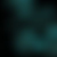 Geotrichum candidum. Glatte septierte Hyphen und Arthrosporen; Fungiqual A Fluoreszenzfärbung (Pr...