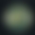 Trichophyton verrucosum. underside of the culture: whitish or yellowish colour with waxy aspect (...
