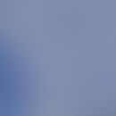 Trichosporon cutaneum. Mikroskopie der Kultur:
Neben der Hefephase mit unterschiedlich großen Spo...