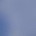 Trichosporon cutaneum: Microscopy of the culture: In addition to the yeast phase with spores of d...