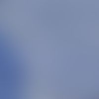 Trichosporon cutaneum. Mikroskopie der Kultur:
Neben der Hefephase mit unterschiedlich großen Spo...