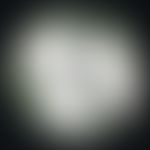 Trichophyton terrestre. Kulturoberseite: Anzucht auf selektivem, modifiziertem (Cycloheximid, Chl...