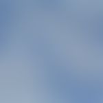 Microsporum gypseum, detail enlargement: plump, macroconidia standing side by side in bundles wit...