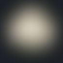 Microsporum audouinii. Anzucht auf selektivem, modifiziertem (Cycloheximid, Chloramphenicol) Kimm...