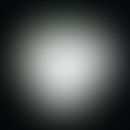 Trichophyton interdigital. cultivated on selective, modified (cycloheximide, chloramphenicol) cin...