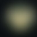 Microsporum canis. Anzucht auf selektivem, modifiziertem (Cycloheximid, Chloramphenicol) Kimmig-A...
