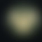 Microsporum canis. Anzucht auf selektivem, modifiziertem (Cycloheximid, Chloramphenicol) Kimmig-A...