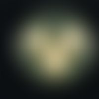 Microsporum canis. Anzucht auf selektivem, modifiziertem (Cycloheximid, Chloramphenicol) Kimmig-A...