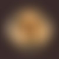 Aspergillus fumigatus. Kulturunterseite: weiß-graue Färbung in Bereichen von Lufteinschlüssen ans...
