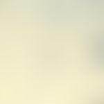Aspergillus fumigatus. microscopy of the culture: numerous "dandelion-like" conidiophores on unse...