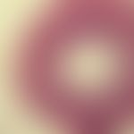 Adiaspiromykose. Detailvergrößerung der Sphaerulen von Emmonsia crescens; Lunge; HE-Färbung (PD D...