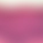 PIN. Akanthotisches Epithel mit Parakeratose. Epithelstruktur noch intakt. Diffuse, jedoch locker...