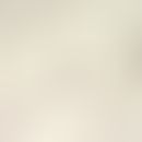 Mansonelliasis. microfilaria of Mansonella perstans in the blood. the microfilariae are unseparat...