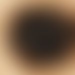 Auflichtmikroskopie, Pseudopodienartige Randzone. Auflichtmikroskopie: Schiefergraue Peudopodien ...