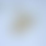 Paragonimiasis. Egg from Paragonimus uterobilateralis. The eggs are 95 x 60 µm, oval, capped.
