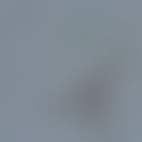 Chilomastix mesnili. Zyste von Chilomastix mesnili, ca. 6-10 x 4-6 µm groß, einkernig, oval. An e...