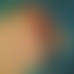 Vollhauttransplantat, präaurikuläres. Abb. 1 c: Präaurikuläre Entnahme eines Vollhauttransplantats.