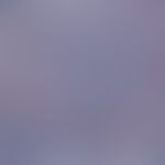 Lymphom, kutanes. Immunhistologische Aufarbeitung von kutanen Infiltraten eines B-Zell-Lymphoms. ...