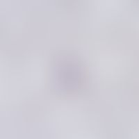 Blood smear:Plasmodium vivax: Schizont in the phase of division into merozoites (approx. 16 daugh...