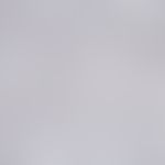 Malaria. blood smear: Plasmodium vivax: young trophozoite with ring form. typical amoeboid ("viva...