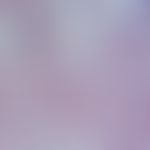 Malaria. Kidney biopsy for black water fever. The hemoglobin cylinders and enlarged glomerules ar...