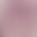 Detail enlargement: Granuloma interspersed with Phialophora verrucosa with brownish colour (see c...