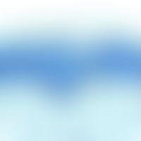 Melanocytes: normal skin; typical physiological position of spindle or star-shaped melanocytes in...