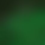 Lupus erythematodes chronicus discoides. Direkte Immunfluoreszenz (DIF): bandförmige granuläre Ig...