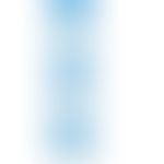 B-cell maturation from lymphoid stem cells to antibody-producing plasma cells (Varies  according ...