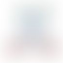 Schematische Darstellung des BCR-Rezeptor-Komplexes. Zentral das in der Zellmembran verankerte Im...