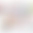 Schmeatische Darstellung der biolgischen Abläufe nach Erkennung von Pathogenen durch Erkennungsre...