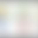 Kennzeichnung der Dermatome&nbsp;

