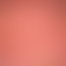 2nd degree burn (Combustio bullosa): Erythema followed by extensive subepidermal blistering. Begi...